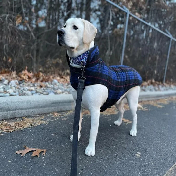 Coat | Blue Plaid Fleece