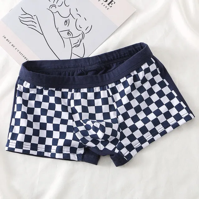 Cotton Checkered Men's Boxer