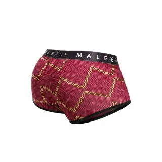 Malebasics Sexy Pouch Trunks