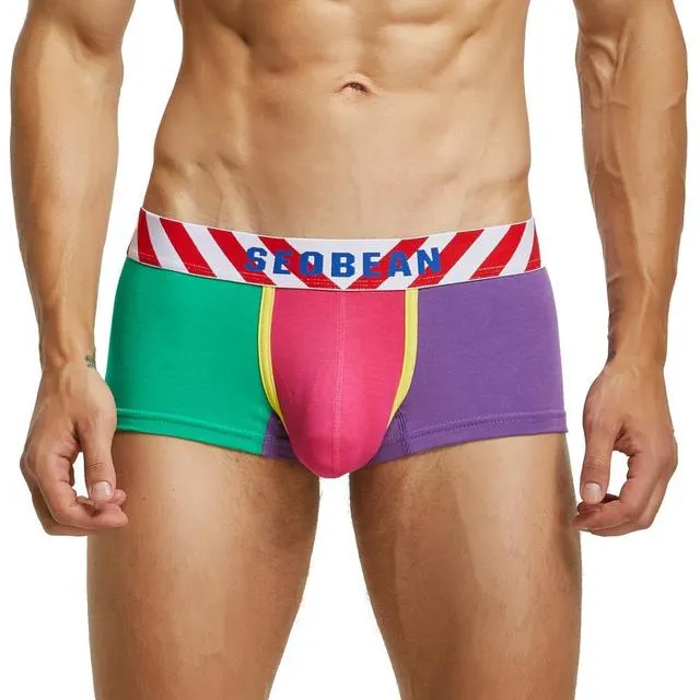 Unmatched Colorful Contrast Boxer