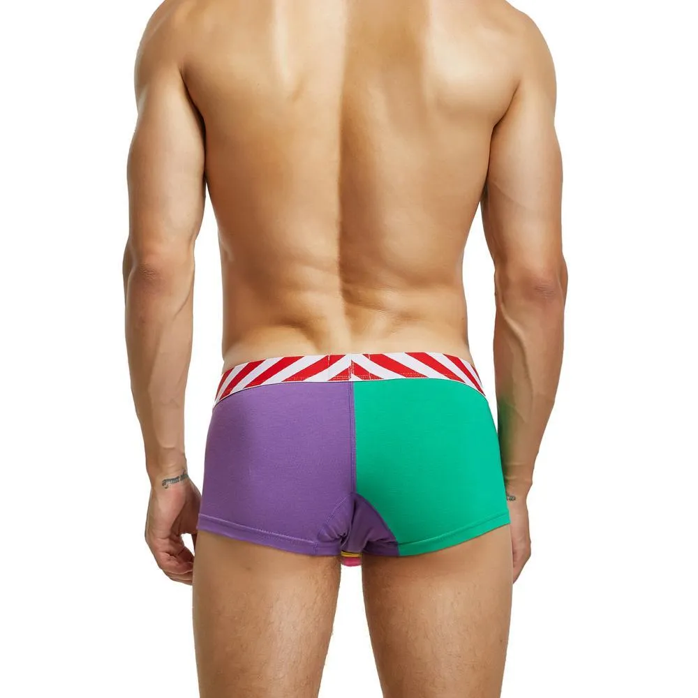 Unmatched Colorful Contrast Boxer