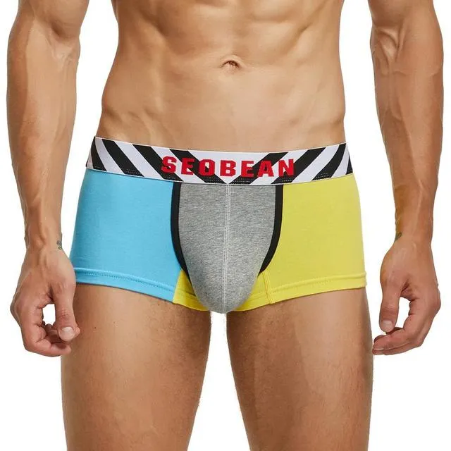 Unmatched Colorful Contrast Boxer